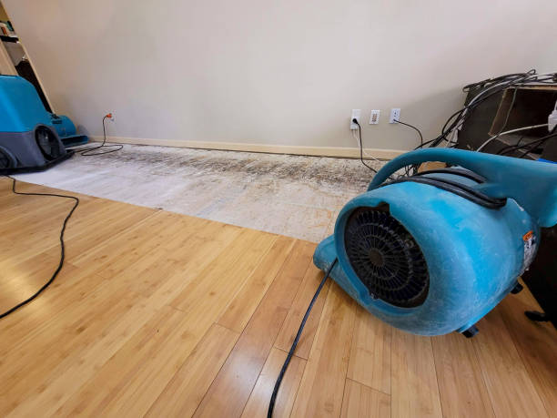 Professional Ceiling Water Damage Repair technician working in Jewett City, CT